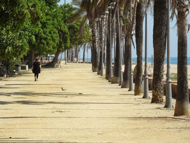 Apartament Duplex En Frente De La Playa Al Lado De Barcelona Canet De Mar Zewnętrze zdjęcie